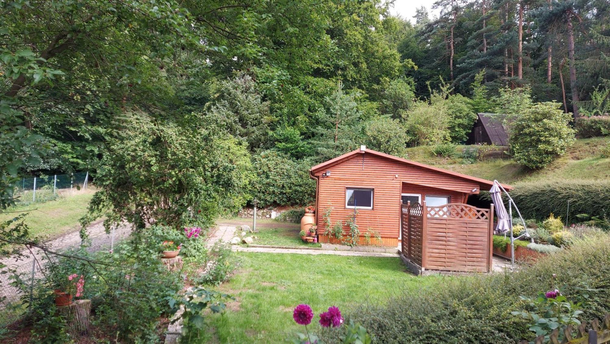 Ferienhaus In Geesthacht-Tesperhude Direkt Am Waldrand Ngoại thất bức ảnh