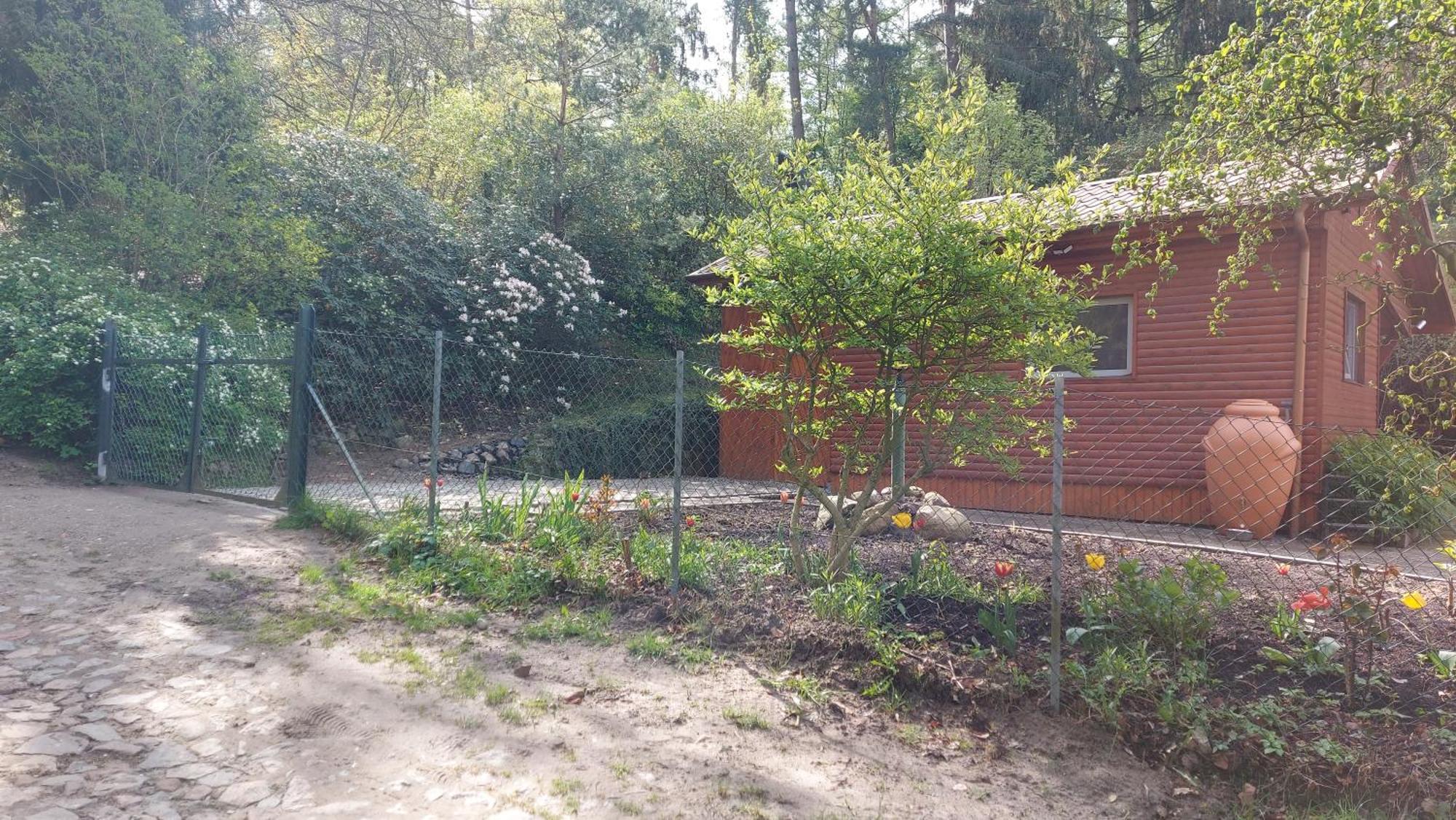 Ferienhaus In Geesthacht-Tesperhude Direkt Am Waldrand Ngoại thất bức ảnh